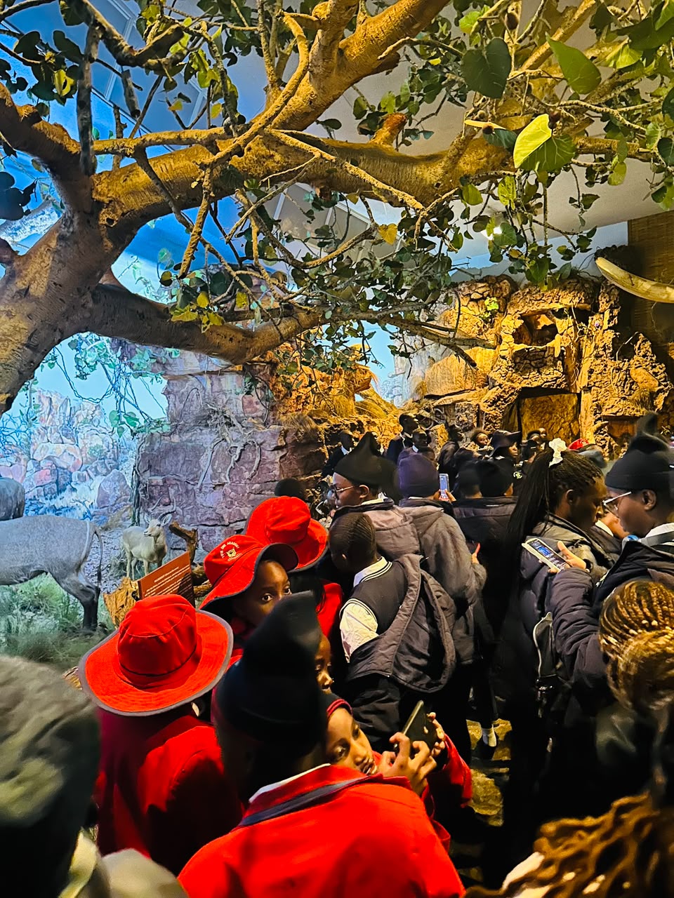 Learners viewing a riverine exhibit during the museum visit